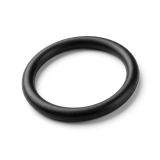O-Ring N72239